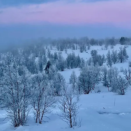 Eivindplassvegen 212 - Hrh Hotel Flataker